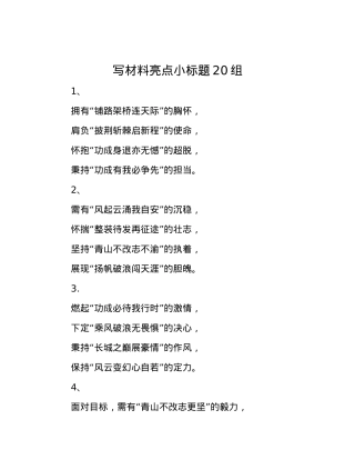写材料亮点小标题20组.docx