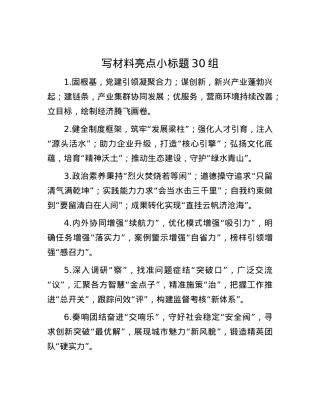 写材料亮点小标题30组.docx
