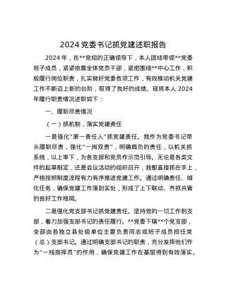2024X委书记抓X建述职报告.docx