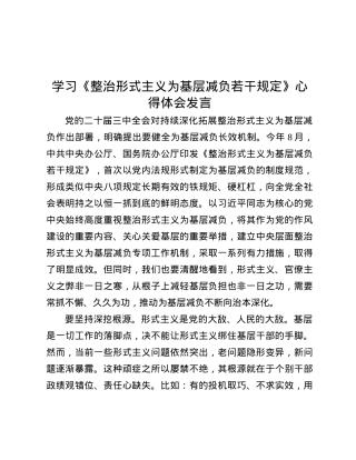 学习《整治形式主义为基层减负若干规定》心得体会发言.docx