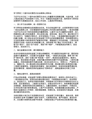 学习贯彻二十届中央纪委四次全会精神心得体会.docx