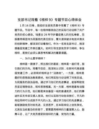 支部书记观看《榜样9》专题节目心得体会.docx