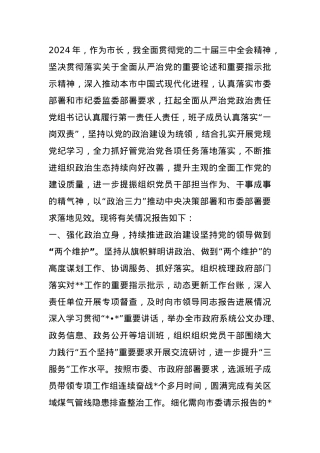 2024市长全面从严治党责任报告.docx
