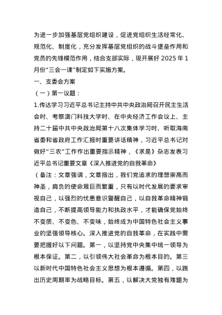 2025年1月党支部“三会一课”方案参考主题.docx