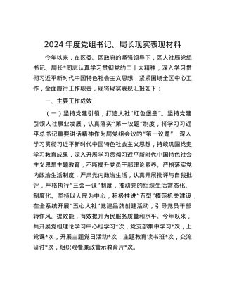 2024年度X组书记、局长现实表现材料.docx