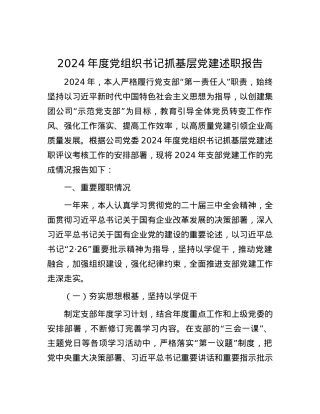 2024年度X组织书记抓基层X建述职报告有重名 859416.docx