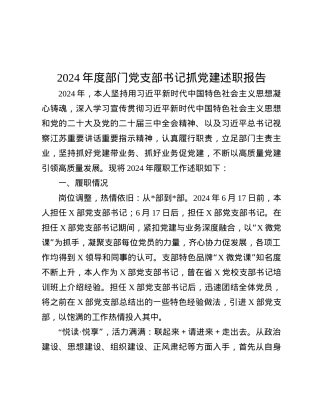 2024年度部门X支部书记抓X建述职报告.docx