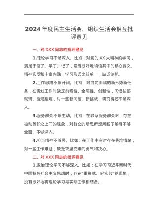 2024年度民主生活会、组织生活会相互批评意见.docx