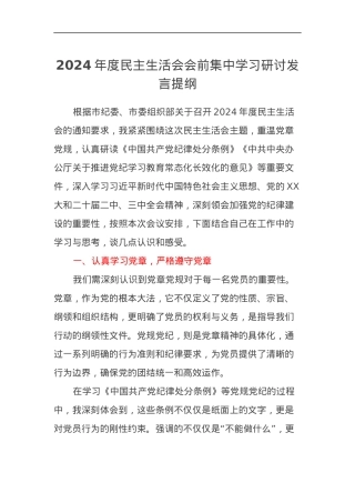 2024年度民主生活会会前集中学习研讨发言提纲（四个带头）.docx