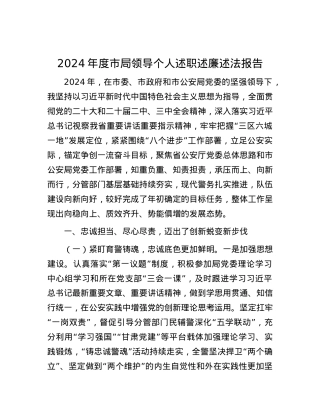 2024年度市局领导个人述职述廉述法报告.docx