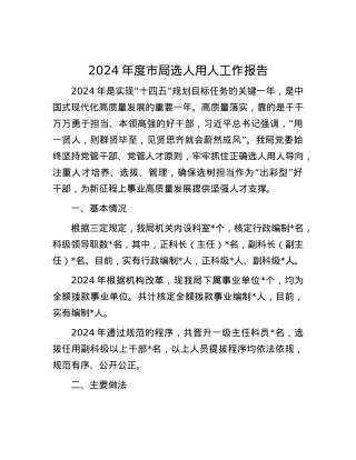 2024年度市局选人用人工作报告.docx