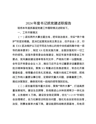 2024年度书记抓X建述职报告.docx