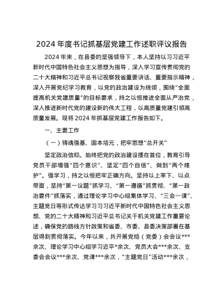 2024年度书记抓基层X建工作述职评议报告.docx