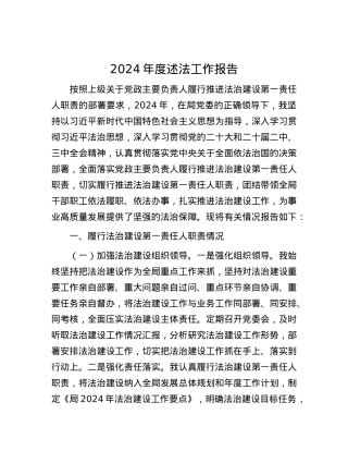 2024年度述法工作报告.docx
