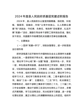 2024年度县人民政府抓基层X建述职报告.docx