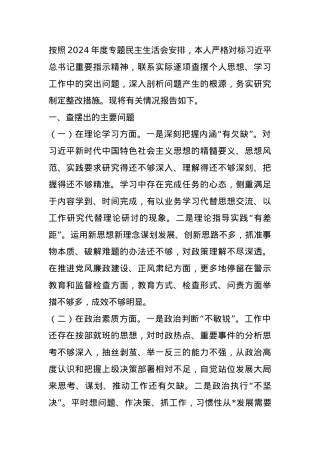2024年度专题民主生活会、组织生活会对照检查发言材料.docx