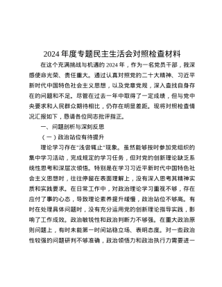 2024年度专题民主生活会对照检查材料.docx