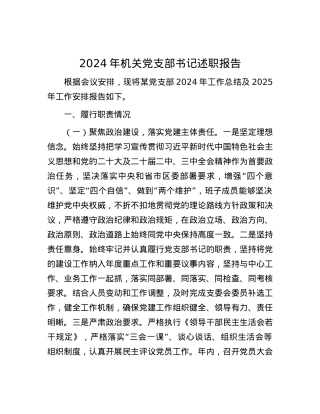 2024年机关X支部书记述职报告.docx