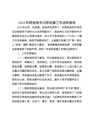 2024年局X组书记抓X建工作述职报告.docx