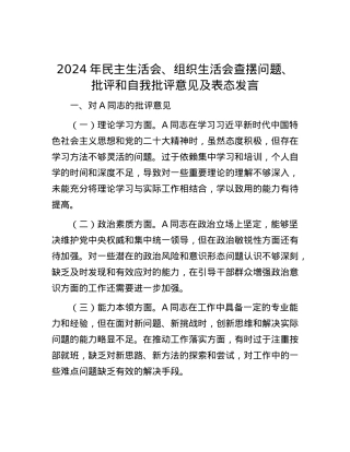 2024年民主生活会、组织生活会查摆问题、批评和自我批评意见及表态发言.docx