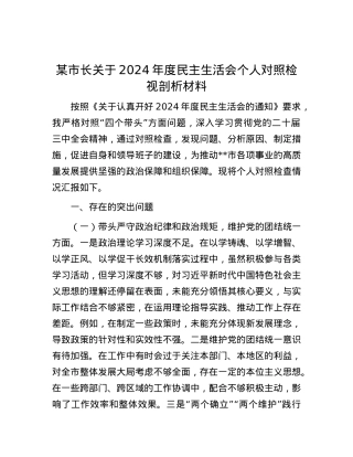 某市长关于2024年度民主生活会个人对照检视剖析材料 (2).docx