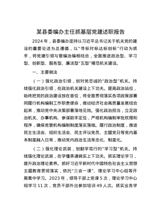 某县委编办主任抓基层X建述职报告 (2).docx