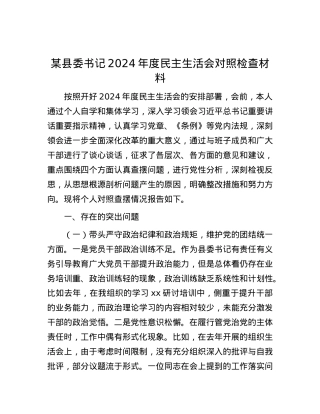 某县委书记2024年度民主生活会对照检查材料.docx