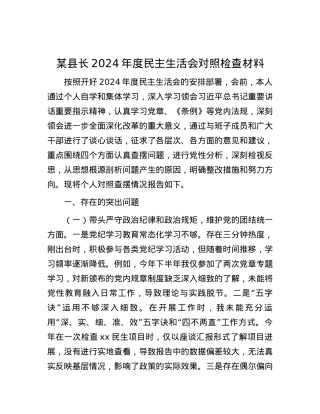 某县长2024年度民主生活会对照检查材料 (2).docx