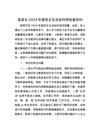 某县长2024年度民主生活会对照检查材料.docx