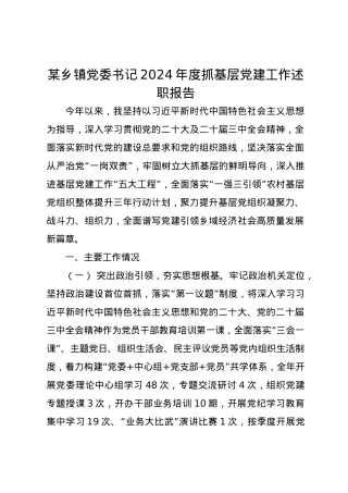 某乡镇党委书记2024年度抓基层党建工作述职报告.docx