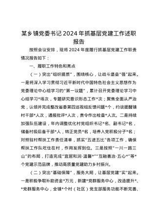 某乡镇党委书记2024年抓基层党建工作述职报告.docx