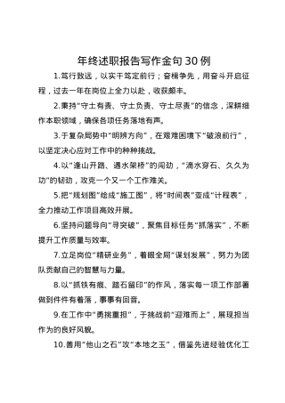 年终述职报告写作金句30例.docx