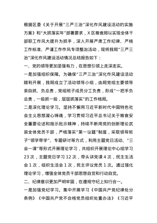 区粮食局“三严三治”深化作风建设活动总结报告.docx