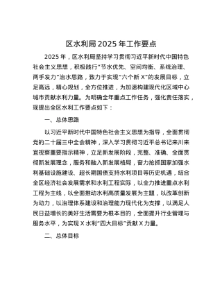 区水利局2025年工作要点.docx