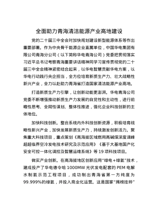 全面助力青海清洁能源产业高地建设.docx