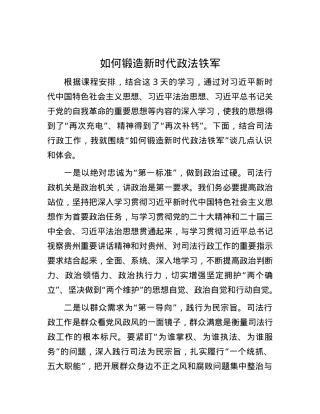 如何锻造新时代政法铁军 (2).docx