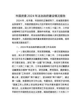 市国资委2024年法治政府建设情况报告.docx