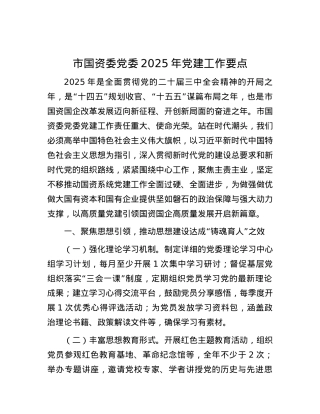 市国资委X委2025年X建工作要点 (2).docx