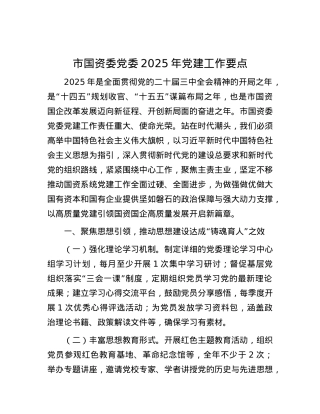 市国资委X委2025年X建工作要点.docx