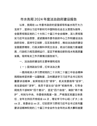 市水务局2024年度法治政府建设报告 (2).docx