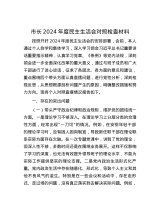 市长2024年度民主生活会对照检查材料 (2).docx