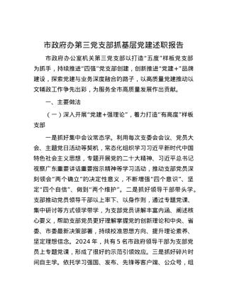市政府办第三X支部抓基层X建述职报告.docx