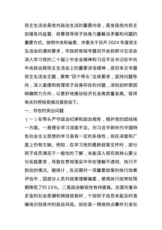 市政府关于2024年度民主生活会领导班子对照检视发言材料 (2).docx