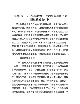 市政府关于2024年度民主生活会领导班子对照检视发言材料.docx