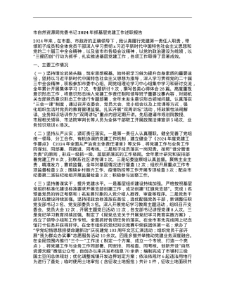 市自然资源局X委书记2024年抓基层X建工作述职报告.docx