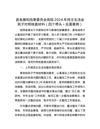 县发展和改革委员会X组2024年民主生活会班子对照检查材料（四个带头＋反面案例）.docx
