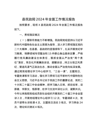 县民政局2024年全面工作情况报告.docx