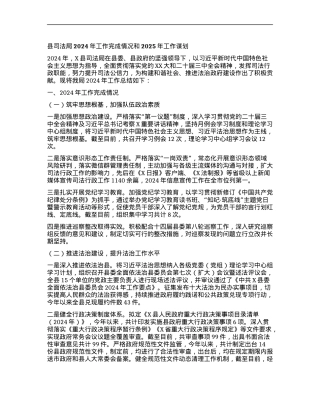 县司法局2024年工作完成情况和2025年工作谋划.docx