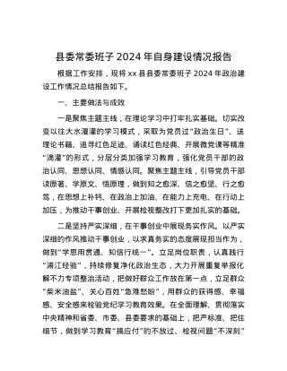 县委常委班子2024年自身建设情况报告.docx