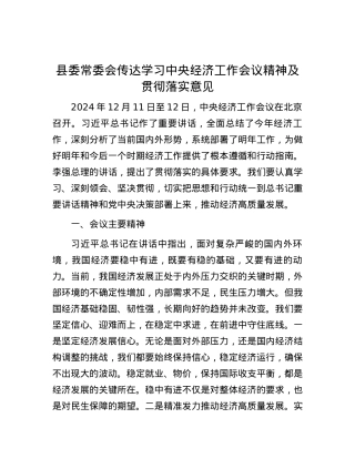 县委常委会传达学习中央经济工作会议精神及贯彻落实意见 (2).docx